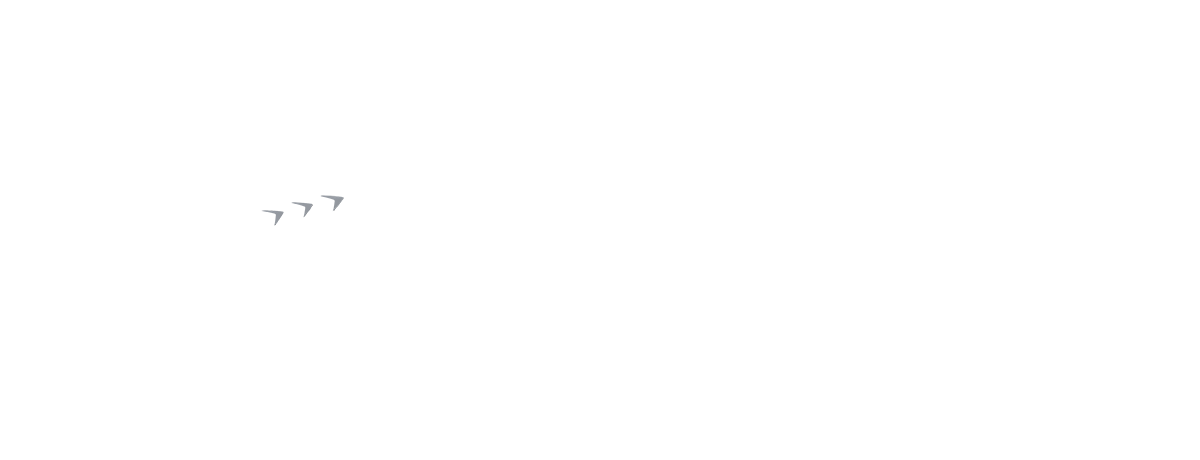 Color Overlay 6930