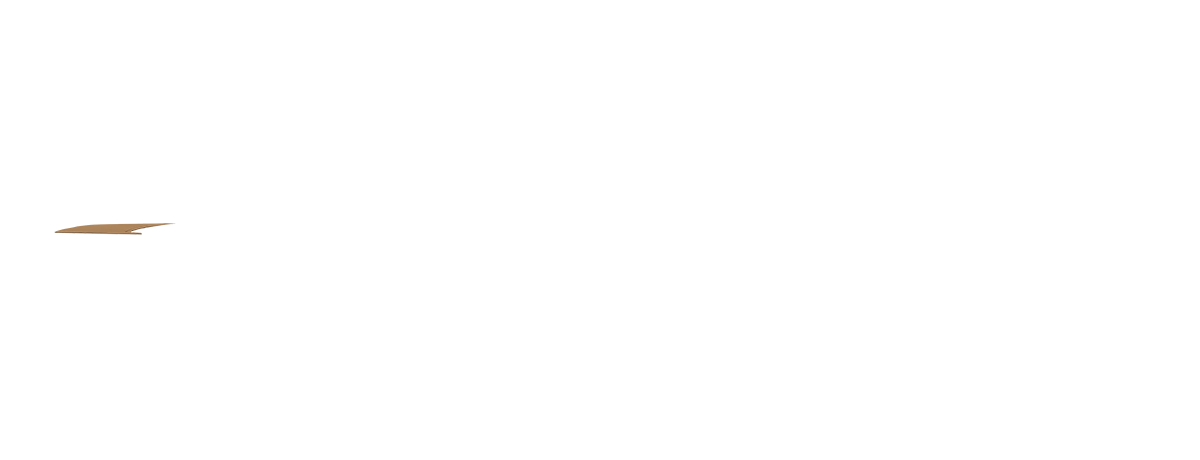 Color Overlay 6958